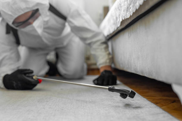 Professional Termite Control technician working in Wimberley, TX